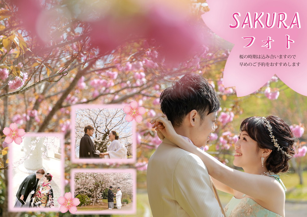 Spring  Location  　ＳＡＫＵＲＡ　フォト